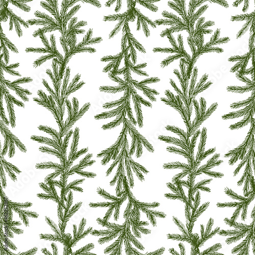 Seamless pattern from drawn green christmas tree branches in rows