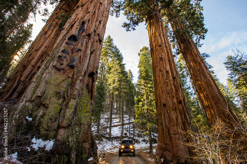 Winter road and 4x4 car in Sequoia National Park, United States Of America photo