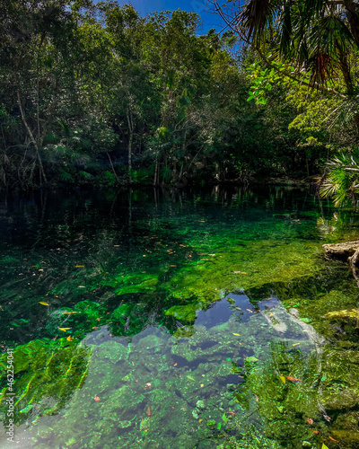 Cenote en QuintanaRoo  Mexico