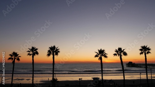 Photography Palms silhouette on twilight sky, California USA, Oceanside pier