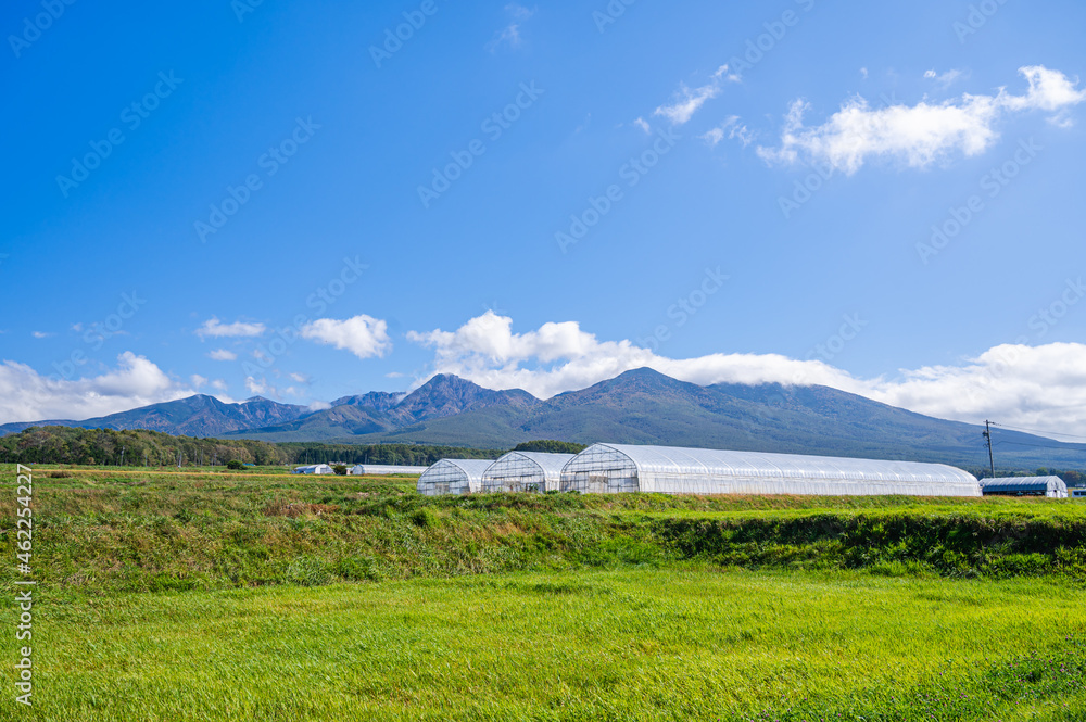 Fototapeta premium 秋の農村と八ヶ岳