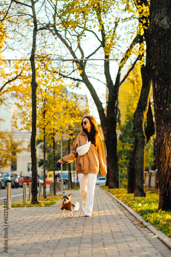 Vertical photo of a stylish female in casual attire and sunglasses walking her yorkshire terrier on the city street near the park on a sunny autumn day. © bodnarphoto