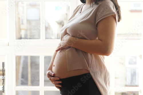 Konstfotografi Realistic Side View of Pregnant Woman Touching Baby Bump in Natural Light