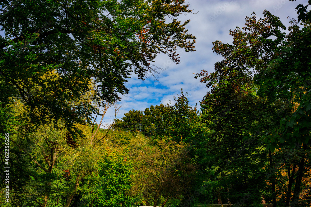 park