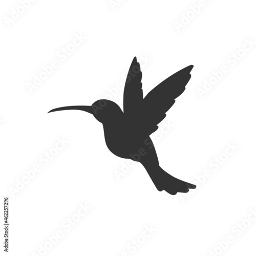 Colibri logo icon vector designs illustration in flat