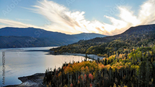 Aspens on The Lakeshore
