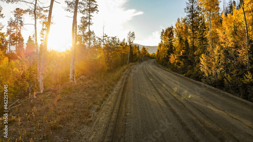 Country Road in The Fall