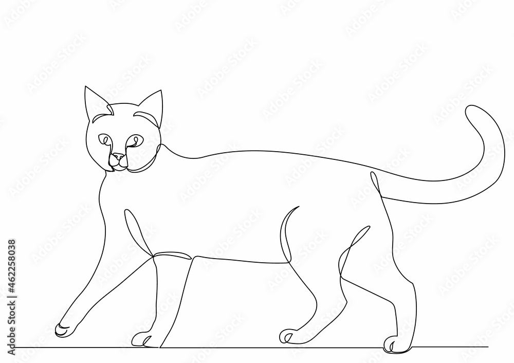 cat line drawing, isolated, vector