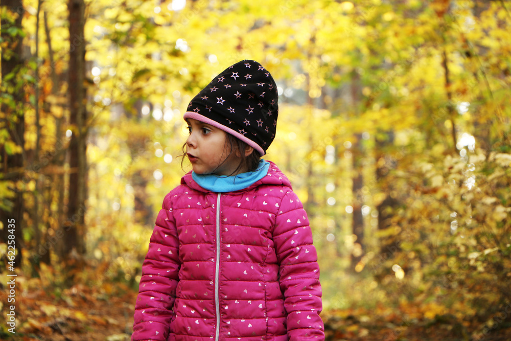 A girl in the autumn in the park collects yellow leaves of trees. A girl in the autumn in the park collects yellow leaves of trees.