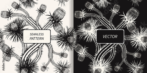 Luxury set of vector seamless patterns with cactus flowers. Floral tropical background with succulent plants. Modern black and white illustrations. Stylish redesign for print, wallpaper, textiles