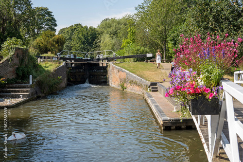 Newbury, Berkshire, England, UK. 2021.  Newbury Lock on the Kennet and Avon Canal a swan and floral flower display on a footbridge. photo
