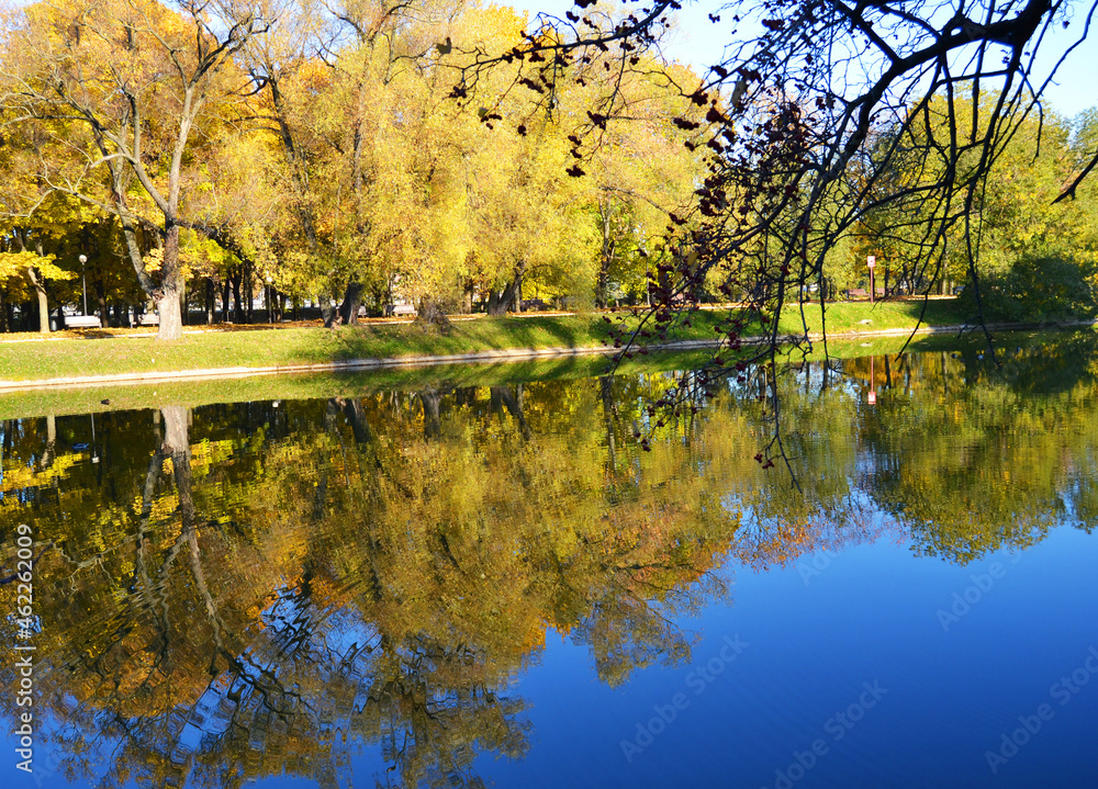 Reflection in the water of trees with yellow leaves.