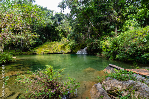 River in the middle of the rainforest in the Guanayara national park