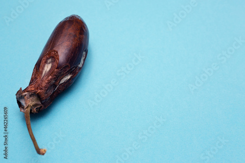 Spoiled eggplant on a blue background with place for text. Mold on spoiled vegetables. Rotten food. Copy space. Mockup.