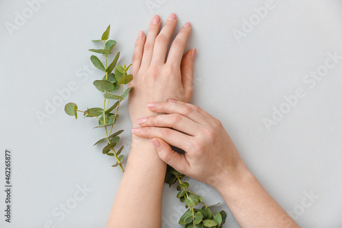 Female hands with green eucalyptus leaves on grey background