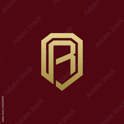 Elegant Initial R Shield Secure Logo design