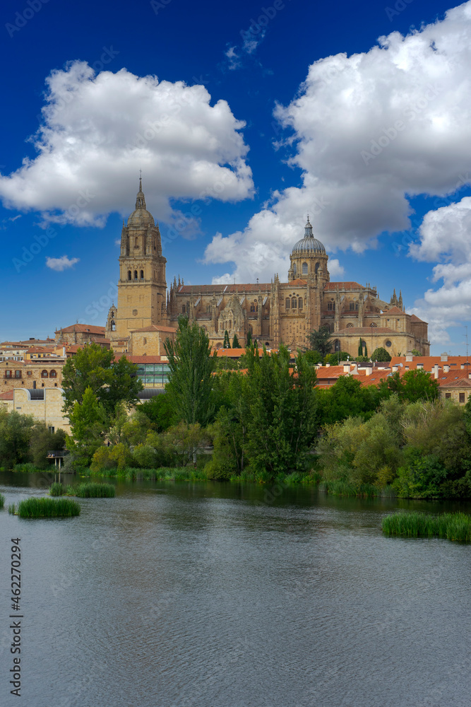 Catedral de la Asunción de la Virgen en la ciudad de Salamanca, España