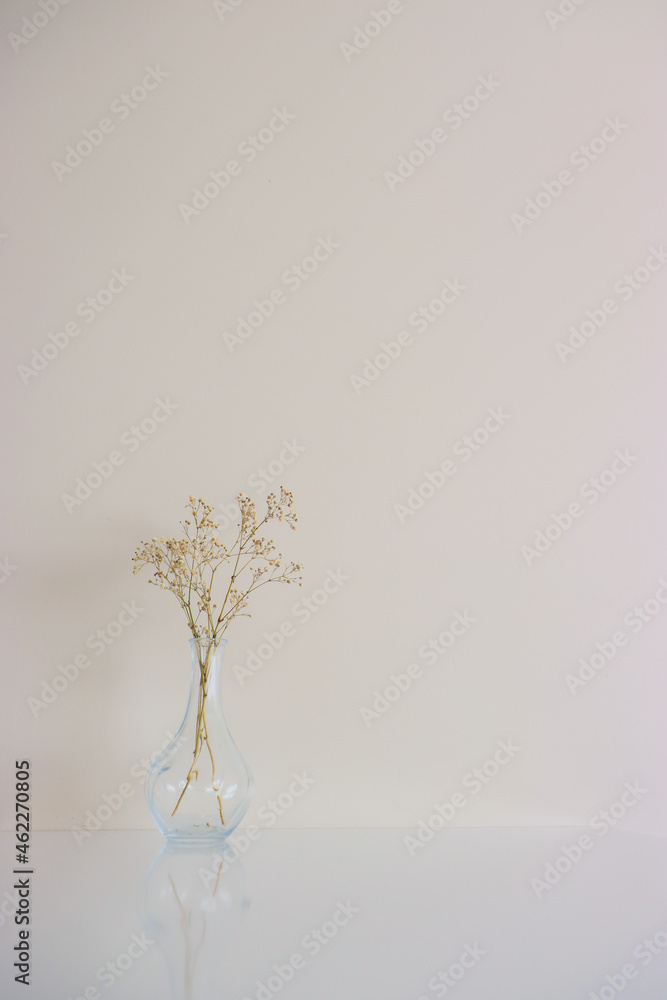 gypsophila.branch in a vase. flowers in a vase on a white background. decor. vase and flowers. leaf in a vase