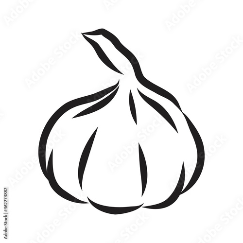 Vegetable, spice, three garlics, vector, monochrome contour on white