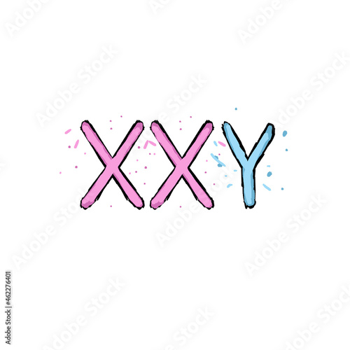 xxy karyotype (colored) photo