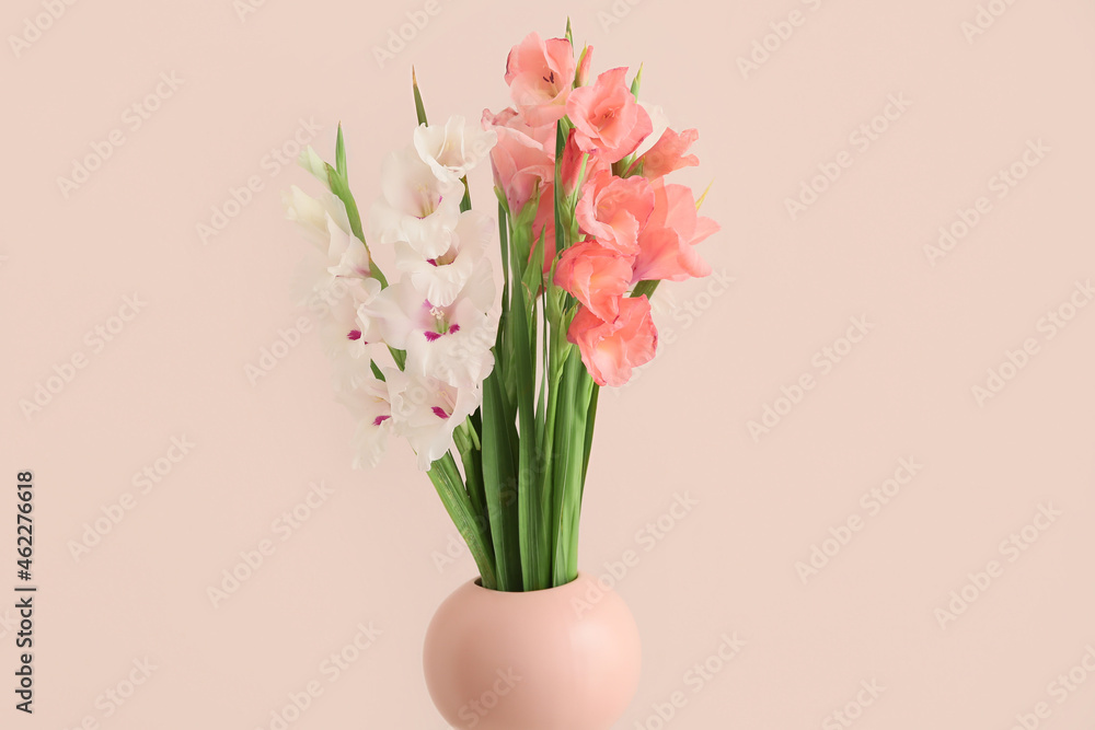 Vase with gorgeous gladiolus flowers against color wall