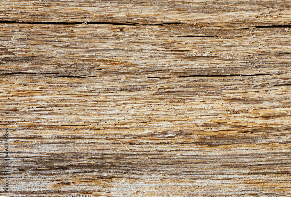 Wooden background - view of the sawn wood. Horizontal background with space for text Wooden background - view of the sawn wood. Horizontal background with space for text