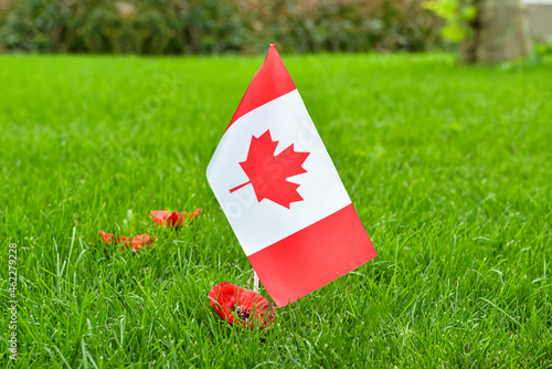 Poppy flower with flag of Canada on green grass. Remembrance Day © Pixel-Shot