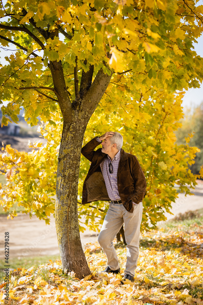 A mature man with gray hair stands leaning against a tree trunk. He experiences chagrin or fatigue. Full lenght. A mature man with gray hair stands leaning against a tree trunk. He experiences chagrin or fatigue. Full lenght.