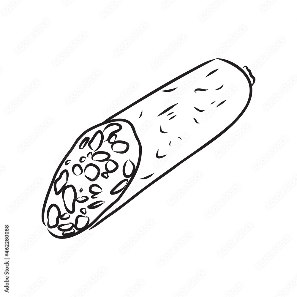 Sketch set with sausage, salami, home-made sausage. Food illustration. Fresh organic meat products. Hand drawn vector illustrations. Freehand food icons for restaurant menu or food package design. Sketch set with sausage, salami, home-made sausage. Food illustration. Fresh organic meat products. Hand drawn vector illustrations. Freehand food icons for restaurant menu or food package design.