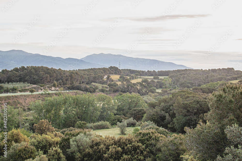 Paisaje naturaleza arboles y montañas Nature landscape trees and montains 