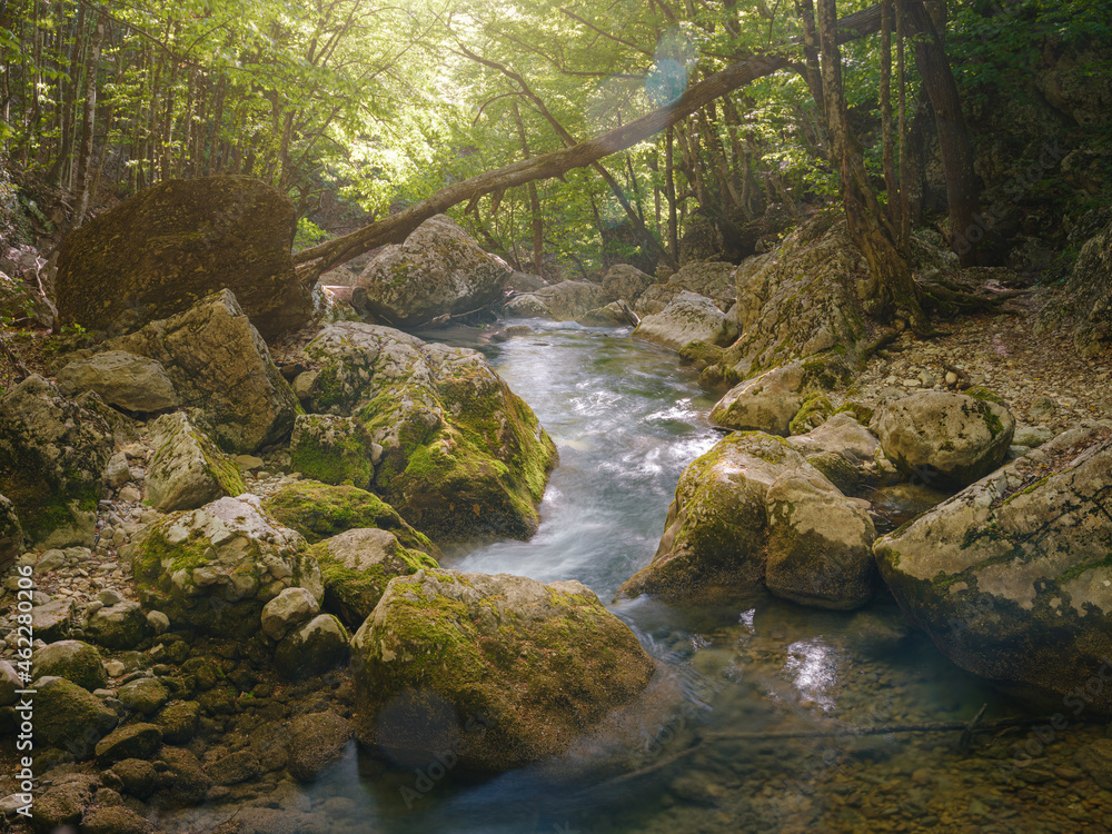 small river deep in the green woods. wonderful springtime scenery of mountains countryside. clear water among forest and rocky shore. wooden fence on the river bank. small river deep in the green woods. wonderful springtime scenery of mountains countryside. clear water among forest and rocky shore. wooden fence on the river bank.