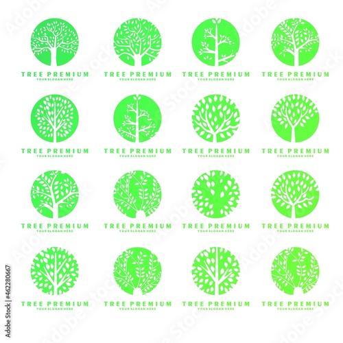 set of business nature tree logo design vector