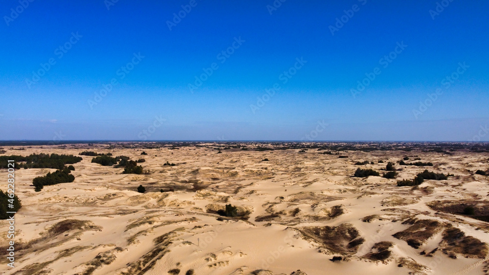 View of the sandy massif in Oleshkovsky Sands. Desert panorama with yellow sand and dry vegetation. Ukraine. Europe View of the sandy massif in Oleshkovsky Sands. Desert panorama with yellow sand and dry vegetation. Ukraine. Europe