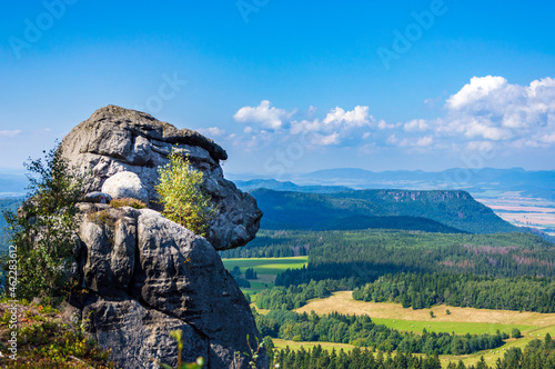 Małpa ze skały w Górach Stołowych © Dawid