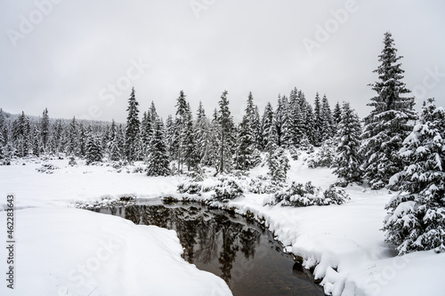 Winter in Jizera Mountains. Snowy landscape with trees and small creek. Czech Republic