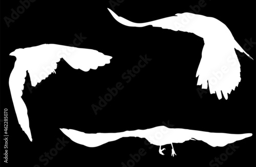 set of black three crows silhouettes