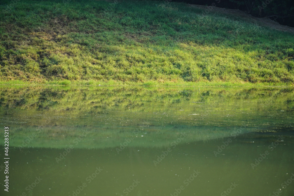 lake in the forest