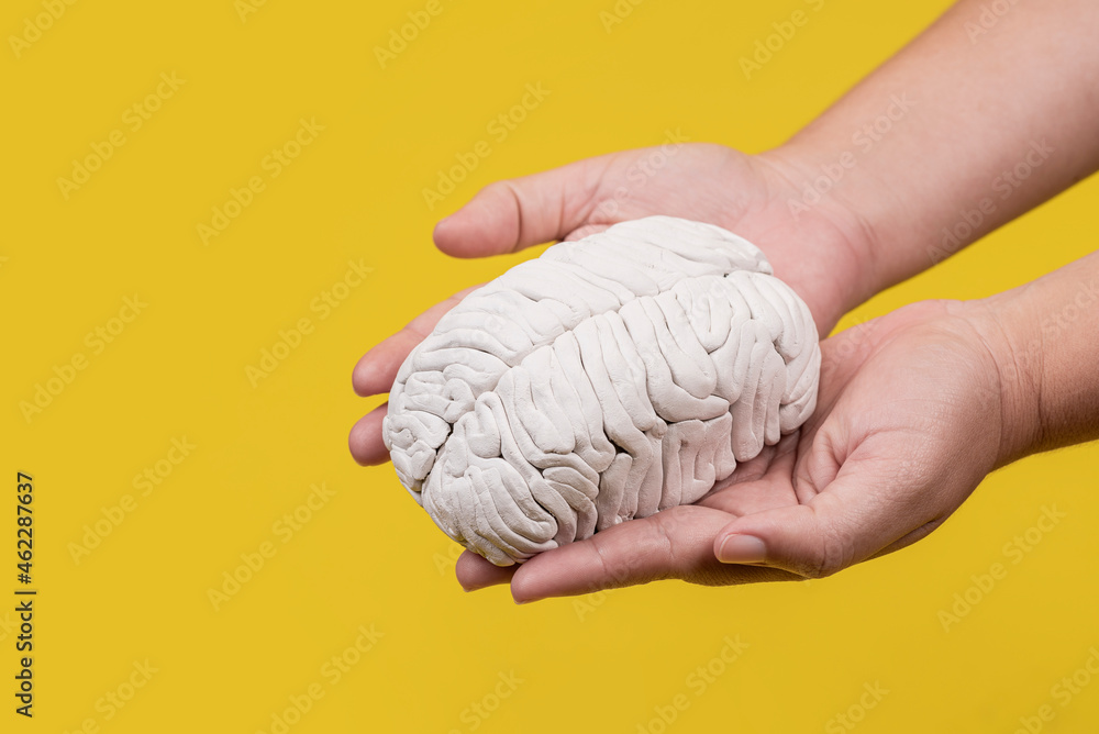 Manos de una persona con un cerebro en sus manos - obrazy, fototapety, plakaty 