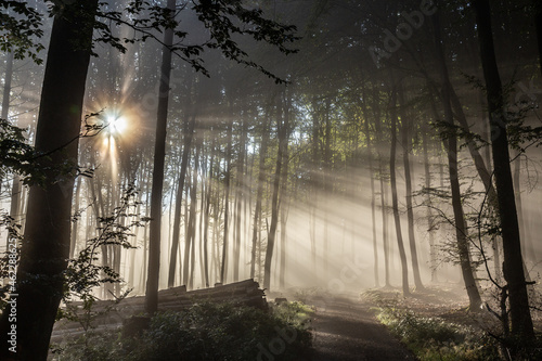 Herbststimmung