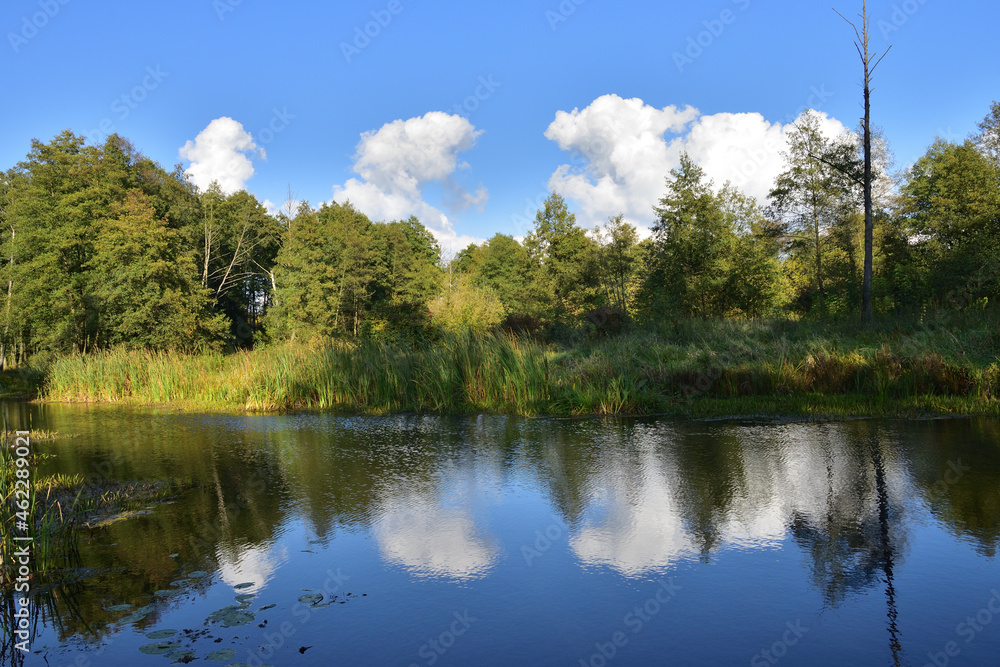 Obraz premium River, trees, sky and clouds reflecting in the water on a calm day. Relaxation. Rest.