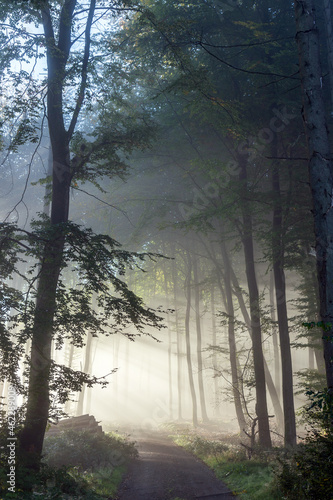 Herbststimmung