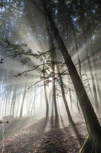 Herbststimmung