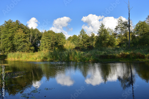 River, trees, sky and clouds reflecting in the water on a calm day. Relaxation. Rest.