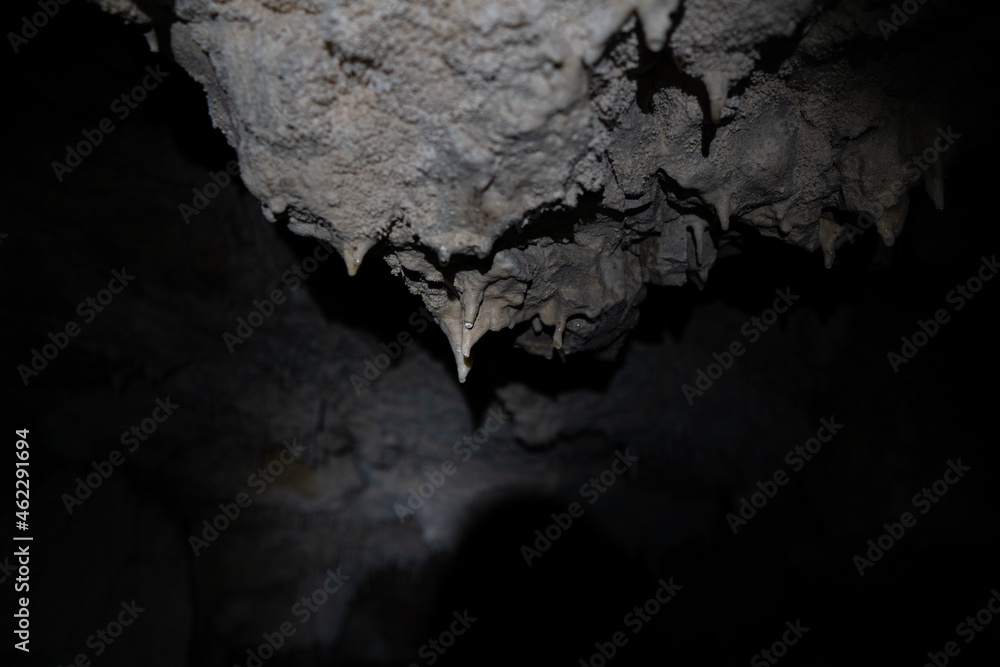 Fenian caves ,Oparara Valley, New Zealand