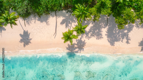 Traumstrand mit Palmen und türkisblauem Wasser von oben - Luftaufname mit der Drohne am Strand Baie Lazare auf der Insel Mahé auf La Digue auf den Seychellen © Foto-Jagla.de
