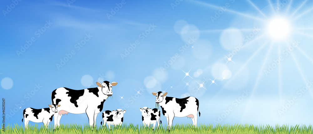 Rural landscape farm fields with family cows grazing eating grass in sunny  day spring, Vector cartoon Beautiful Summer of green meadow with blue sky  and Sun shining,Horizontal background banner Stock Vector |