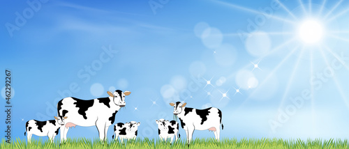 Rural landscape farm fields with family cows grazing eating grass in sunny day spring, Vector cartoon Beautiful Summer of green meadow with blue sky and Sun shining,Horizontal background banner