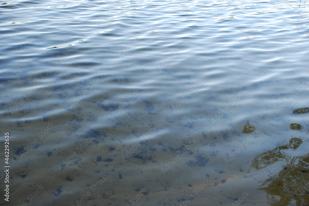 Thin lines on the surface of the lake. Summer evening, the water surface of a forest lake along which circles scatter from light excitement, forming many black lines on a white background. Thin lines on the surface of the lake. Summer evening, the water surface of a forest lake along which circles scatter from light excitement, forming many black lines on a white background.