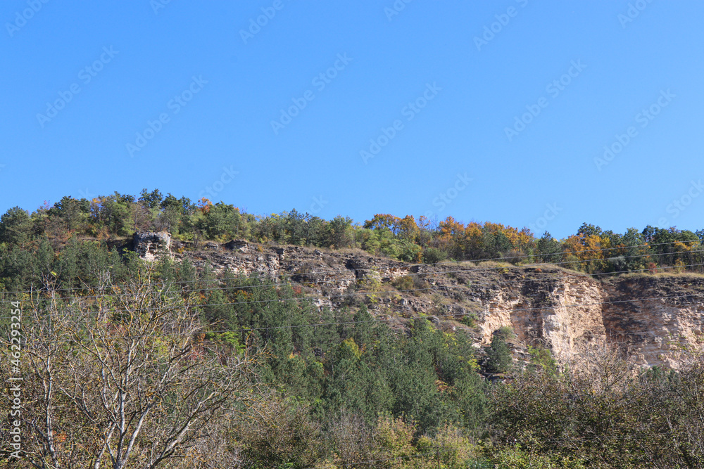 A large hill in the forest overgrown with deciduous and coniferous trees. Limestone hill. Places of lime extraction