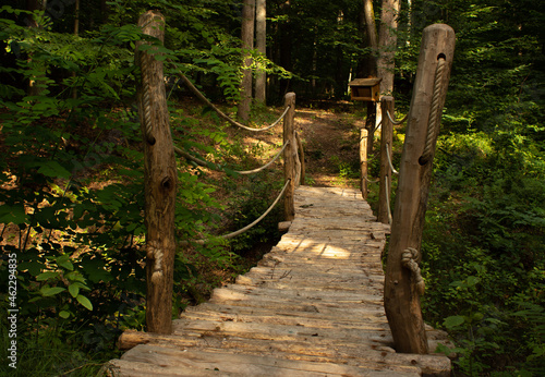 Wooden bridge in the forest and feeder on the tree